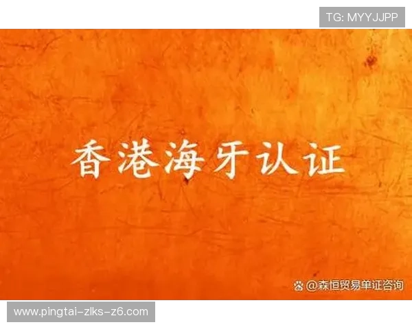 凯时KS开户步骤详解助你顺利完成注册流程快速入门