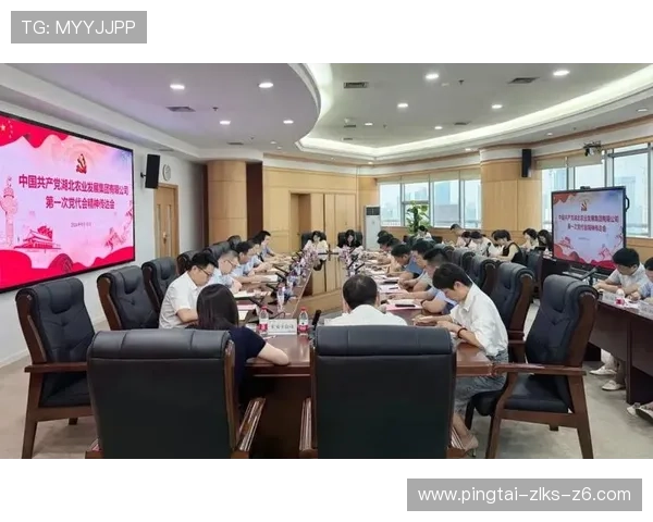 尊龙凯时中国官网官方公告与最新动态，第一时间掌握平台更新信息与安全措施保障用户权益
